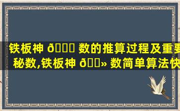 铁板神 🍀 数的推算过程及重要秘数,铁板神 🌻 数简单算法快速